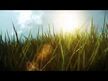 Відео огляд на Sunwarrior, Liquid Light Fulvic Minerals, Фульвовая кислота, 946.