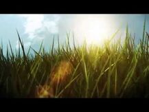 Sunwarrior, Фульвовая кислота, Liquid Light Fulvic Minerals, 9...