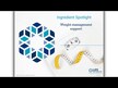 Відео огляд на Body Trim and Appetite Control, Контроль ваги, 30 капсул