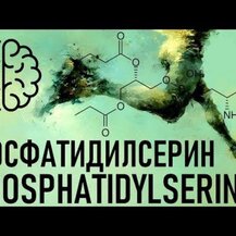 Source Naturals, Phosphatidyl Serine Matrix 500 mg