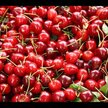 Видео обзор на Solgar, Кислая вишня 1000 мг, Tart Cherry 1000 mg, 90 капсул