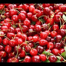 Solgar, Кислая вишня 1000 мг, Tart Cherry 1000 mg, 90 капсул
