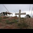Видео обзор на Экстракт коры муравьиного дерева, Pau D'Arco Bark, 30 мл