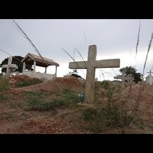 Nature's Answer, Pau D'Arco Bark Alcohol-Free 2000 mg