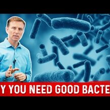 Dr. Berg, Пробиотики, Friendly Bacteria Probiotic Liquid, 500 мл