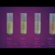 Видео обзор на Enzymedica, Поддержание уровня pH, Enzyme pH-Basic, 120 капсул