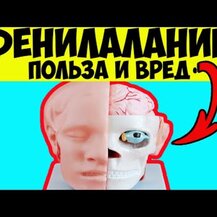 Life Extension, DL-Phenylalanine 500 mg