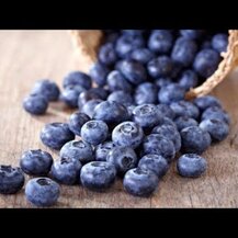 Sports Research, Blueberry Concentrate 800 mg