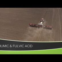 Age Immune, Fulvic Humic Acid, Фульвові та Гумінові кислоти, 6...