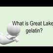 Видео обзор на Great Lakes Wellness, Коллаген, Collagen, 454 г