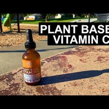 Global Healing, Plant-Based Vitamin C, Вітамін C, 59 мл