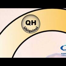 Healthy Origins, Убихинол, Natural Ubiquinol, 60 капсул