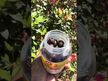 Відео огляд на Ashwagandha Gummies Mixed Berry Flavored, Ашваганда, 60 таблеток