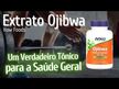 Відео огляд на NOW, Ojibwa Herbal Extract, Концентрат чаю Оджибва 450 мг, 180 ка