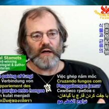 Paradise Herbs, Reishi Red Ling Zhi