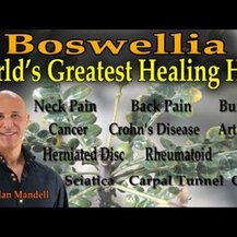 Pure Encapsulations, Boswellia