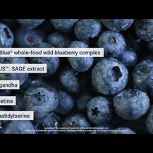 Life Extension, Cognitex Elite