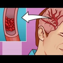 Nature's Life, Magnesium Malate