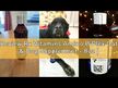 Видео обзор на Rx Vitamins, B-комплекс, Amino B-Plex for Pets, 60 мл