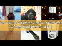 Rx Vitamins, Amino B-Plex for Pets, B-комплекс, 60 мл
