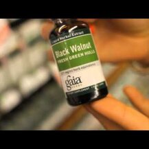 NOW Foods, Black Walnut Hulls 500 mg