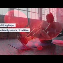 Arterial Protect, Підтримка судинної системи, 30 капсул