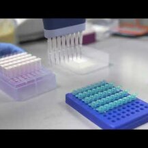 Protocol for Life Balance, Liver Detox Support