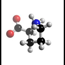NOW Foods, L-Proline 500 mg