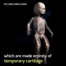 Nature's Way, Kids Growing Bones & Muscles Ages 2 + Wildberry