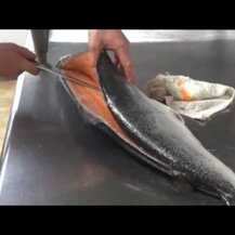 Carlson, Norwegian Salmon Oil 500 mg