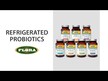 Відео огляд на Flora, Super 8 Hi-Potency Probiotic, Пробіотики, 30 капсул