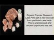 Видео обзор на Premier Research Labs, Соль, Pink Salt Complete, 340 г