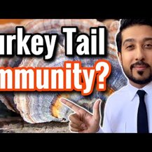 Om Mushroom Superfood, Turkey Tail Certified 100% Organic Mushroom Powder